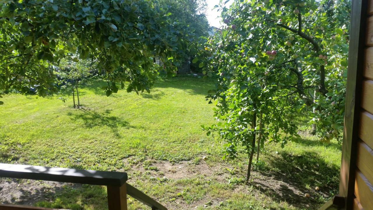 Vasarnamis Zarasuose Villa Zarasai Eksteriør billede